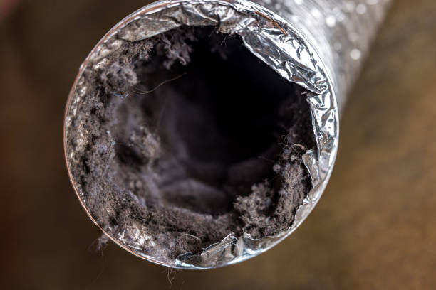 Best Duct Cleaning for Homes  in Knoxville, TN